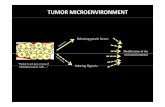 Tumor microenvironment - ULisboa colony stimulating factor (CSF)-1, granulocyte–monocyte ... ex. APRIL (proliferating ... The study of tumor microenvironment, its cellular and molecular