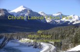 Chronic Lateral Elbow Pain - Australian Physiotherapy … Lateral Elbow Pain By Martin Meyer Sports Physiotherapist My background Graduated in 1996 from Curtin Completed Masters in