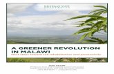 A GREENER REVOLUTION IN MALAWI - Agrilinks · A GREENER REVOLUTION IN MALAWI ... (Figure 2; Placid Mpeketula PhD dissertation research). ... Photo by Jim Richardson TABLE 1.
