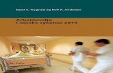 Arbeidsmiljø i norske sykehus 2014 - Arbeidstilsynet Innhold Forord 5 1 Tilstanden i sykehusene 7 Arbeidsmiljøutfordringer ...