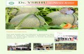Dr. YSRHU e-News letter · Dr. YSRHU e-News letter ... dieback in chilli, TMV incidence in brinjal, ... ferent bunch management techniques like covering with boot leaf, ...