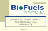 Natural Gas and Southern California’s - Home | SoCalGas · meets the new SDG&E pipeline injection standards ... Fuel Cell Company ... Natural Gas and Southern California's Renewable