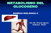 METABOLISMO DEL GLUCOGENOecaths1.s3.amazonaws.com/quimicabiologica2/1775982667.glucogeno... · METABOLISMO DEL GLUCOGENO QUIMICA BIOLOGICA II Dra. Ma. Victoria Aguirre Profesora Titular