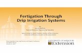 FertigationThrough Drip Irrigation Systemsextension.missouri.edu/webster/documents/presentations/2017-01-11... · FertigationThrough Drip Irrigation Systems by Bob Schultheis Natural