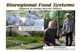 adapted to energy descent futures - Cloud Object … Transition & EDAP compared to mainstream Sustainability Mainstream sustainability Permaculture, Transition & Energy Descent Action