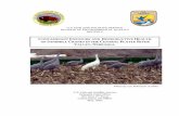 CONTAMINANT EXPOSURE AND REPRODUCTIVE .... FISH AND WILDLIFE SERVICE DIVISION OF ENVIRONMENTAL QUALITY REGION 6 CONTAMINANT EXPOSURE AND REPRODUCTIVE HEALTH OF SANDHILL CRANES IN THE