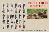 POPULATION GENETICS -   with Mendelian genetics and population genetics population is important ... NEO-DARWINISM Richard DAWKINS