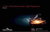 Citrix XenDesktop Site Report - CENTREL Solutions · XenDesktop Site Information This is an example XenDesktop 7.6 site connected to a XenServer hypervisor with Microsoft Office 2013