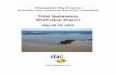 Chesapeake Bay Program Scientific and Technical … Bay Program Scientific and Technical Advisory Committee Tidal Sediments Workshop Report May 28-29, 2009 STAC Publication 10-001