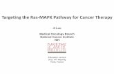 Targeting the Ras-MAPK Pathway for Cancer Therapy the Ras-MAPK Pathway for Cancer Therapy Ji Luo Medical Oncology Branch National Cancer Institute NIH Education Lecture 2011 TAT Meeting