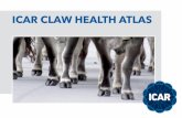 ICAR Atlas of Claw Health · Our members are animal recording organisations from ... the ICAR Claw Health Atlas hope that the compiled material will support the improved recording