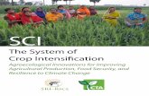 SCI - The System of Crop Intensification - CTA Publishingpublications.cta.int/media/publications/downloads/1795...The System of Crop Intensification: Agroecological Innovations for