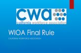WIOA Final Rule - California Community Collegesdoingwhatmatters.cccco.edu/portals/6/docs/sw/WIOA Final Rule... · -Response: WIOA sec. 108(b)(1) requires the CEOs to develop the ...