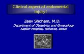 Clinical aspect of endometrial injury! - Comtecmed PPT/Shoham.pdfClinical aspect of endometrial injury! Zeev Shoham, M.D. Department of Obstetrics and Gynecology Kaplan Hospital, Rehovot,