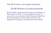 The BCM theory of synaptic plasticity. The BCM BCM theory of synaptic plasticity. The BCM theory of cortical plasticity BCM stands for Bienestock Cooper and Munro, it dates back to
