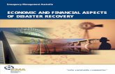 ECONOMIC AND FINANCIAL ASPECTS OF … and Financial Aspects of Disaster Recovery iii ... Manual 11 Vertical Rescue ... Economic and Financial Aspects of Disaster Recovery ix