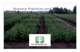 Nursery Practices and Planting Stock: Aiming Towards …cips.forestry.oregonstate.edu/sites/cips/files/2011Conference... · Nursery Practices and Planting Stock: Aiming Towards Rapid