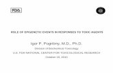 ROLE OF EPIGENETIC EVENTS IN RESPONSES TO ... OF EPIGENETIC EVENTS IN RESPONSES TO TOXIC AGENTS Igor P. Pogribny, M.D., Ph.D. Division of Biochemical Toxicology U.S. FDA-NATIONAL CENTER