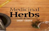 Medicinal Herbs - ACS Distance Educationdl.acsedu.com/ebook/Samples/Short_Course_Medicinal_Herbs_Sampl… · The Contents of the Course HOW TO WORK THROUGH THIS COURSE 2 lESSOn 1