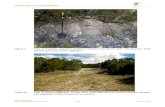 Figure 7. View of exposed, degraded limestone bedrock and … Resources Technical Report . Figure 7. View of exposed, degraded limestone bedrock and typical soils. Facing south. Note