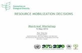 RESOURCE MOBILIZATION DECISIONS - OECD.org Sharma Montreal presentation.pdf · RESOURCE MOBILIZATION DECISIONS Montreal Workshop 12 May 2012 Ravi Sharma Principal Officer ... funding