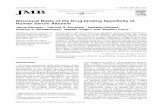 Structural Basis of the Drug-binding Speciﬁcity of Human ...tarjomefa.com/wp-content/uploads/2017/09/7760-English-TarjomeFa.pdfAs expected, CMPF, oxyphenbutazone, phenyl-butazone