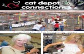 A Happy Ending For 150 Cats On Adoption Day (see page 3) Issue 16 printer... · A Happy Ending For 150 Cats On Adoption Day (see page 3) 2 To Life ... Campers learn dog safety with