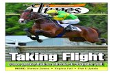 T he Times Steeplechase - Horse racing from the consignments of WinStar Farm, ... ÒI might have rebroke my hand and cracked a rib, ... Ê. s Steeplechase PUBLISHING COM.