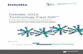 Deloitte 2015 Technology Fast 500TM - cleanmarine.no/media/documents/emea/emea fast500 2015... · Deloitte 2015 Technology Fast 500 ... small, public, and private - span a variety