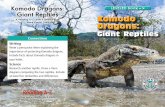 Komodo Dragons: LEVELED OOK X Giant Reptiles Komodoeaglesrule.pbworks.com/w/file/fetch/103980349/Group A.pdf · Front and back cover: Komodo dragons wade in the water in Komodo National