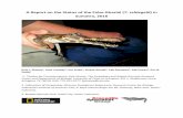 A Report on the Status of the False Gharial (T. schlegelii ... · A Report on the Status of the False Gharial (T. schlegelii) in Sumatra, ... Summary and Recommendations ... 2.1.5