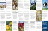 Bachelor of Science Agrarbiologie Agrarwissenschaften ... · Bachelor of Science Agricultural Sciences Bachelor of Science Biobased Products and Bioenergy Bachelor of Science Agricultural