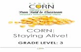 CORN: Staying Alive! · 4 Corn: Staying Alive! Grade Level: 3 Unit Overview Students propose ideas about what they think plants need to grow, and specifically what corn plants ...