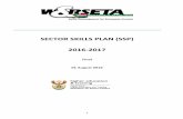SECTOR SKILLS PLAN (SSP) 2016-2017 - W&RSETA WRSETA Sector Skills Plan.pdf · 6 Acronym Description SIPs Strategic Infrastructure Projects SMME Small, Medium and Micro Enterprises