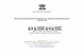 Brief Industrial Profile of Sawai Madhopur Districtmsmedijaipur.gov.in/DIPR_Sawai Madhopur.pdf · ba lR;eso t;rs Government of India Ministry of MSME Brief Industrial Profile of Sawai