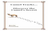 Camel Tracks Discover the Camel’s Secret · Camel Tracks PAKKA MUSLIMS AL-IMRAN 3:42-55 ... experience this same hope after you seize the truth of Surah Al- ... Read Surah Al Maidah
