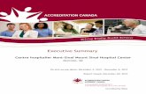 Executive Summary - Mount Sinai Hospitalsinaimontreal.ca/.../2013/03/Accreditation_2012_Executive_Summary.pdf · Executive Summary Centre hospitalier Mont-Sinaï Mount Sinai Hospital