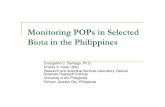 Monitoring POPsin Selected Biota in the Philippinesarchive.unu.edu/esd/manage/Event/Conference2008/Santiago... · Monitoring POPsin Selected Biota in the Philippines ... but may still