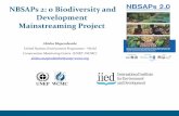 NBSAPs 2: 0 Biodiversity and Development Mainstreaming … · NBSAPs 2: 0 Biodiversity and Development Mainstreaming Project Abisha Mapendembe United Nations Environment Programme
