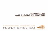INTERNATIONAL ACADEMY FOR HARA SHIATSUmanuela-kloibhofer.at/images/Download/1405 DIPLOMARBEIT BURN O… · INTERNATIONAL ACADEMY FOR HARA SHIATSU 1.) BURN ON MIT SHIATSU An der International