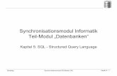 Synchronisationsmodul Informatik Teil-Modul … · – Data Definition Language – DDL – zur Definition der Struktur bzw. ... – Data Manipulation Language ... z.B. JDBC im Bereich