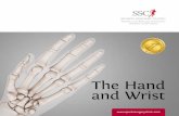 the Hand And Wrist - Sports Surgery Clinic · The Hand and Wrist www ... the other joints of the upper limb, it allows movement of the hand around the body. ... previous fracture.