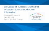 Douglas-fir Tussock Moth and Western Spruce Budworm ... · Douglas-fir Tussock Moth and Western Spruce Budworm Infestation Status and Treatment April 16, 2016 Dennis Will, Staff ...