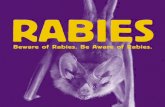 rabies Brochure - Michigan · Rabies is a viral disease that attacks the nervous system and is virtually always fatal. It is most commonly found in bats, skunks, foxes and raccoons.