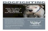 DOGFIGHTING - m.humanesociety.orgm.humanesociety.org/assets/pdfs/.../dogfighting_how_to_recognize.pdf · If you witness a dogfight in progress, call 911 immediately. If you suspect