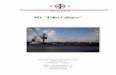MV Fehn Calypso · MV "Fehn Calypso" Fehn Ship Management GmbH & Co. KG Hafenstraße 15 26789 Leer – Germany Phone + 49 (0) 491 928 15 – 5 Fax + 49 (0) 491 928 15 – 99