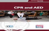 CPR and AED - CPR Training | HSI · ASHI CPR and AED v T ... Class Requirements and Administration ... Program Design Program Overview The ASHI CPR and AED training ...