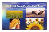 Kim Odden-Biodiesel-From Field to Fuel Tank · fuels like biodiesel. ... Homemade Biodiesel from Waste Oil ... Microsoft PowerPoint - Kim Odden-Biodiesel-From Field to Fuel Tank