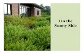 On the Sunny Side - Missouri Botanical Garden · Blazingstar, purple coneflower and slender mountain mint Milkweed, prairie dock and coneflower