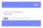 2007 Linux on System z Security Customer - IBM z/VM · Linux on System z Security Building Blocks Snort, Snare, PortSentry, TripWire, LIDS, IPLog, ... • SHA-1 validated for FIPS